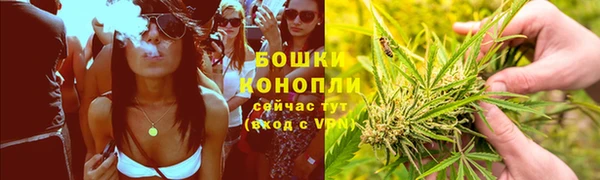прущие грибы Болохово