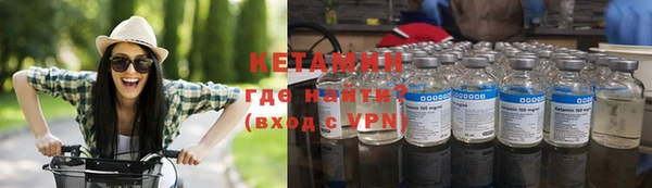 прущие грибы Болохово