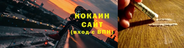 прущие грибы Болохово